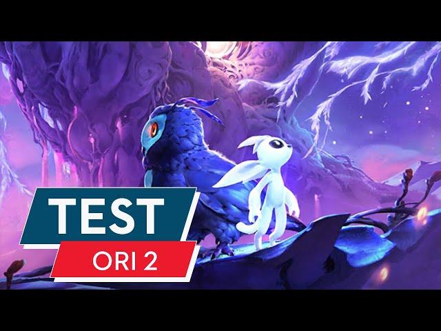 Ori and the Will of the Wisps Test / Review: Wundervoller Märchenwald