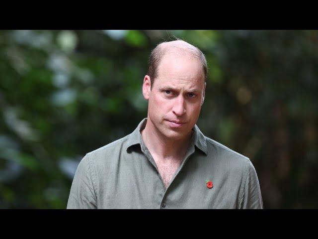 ‘He’s really sick of this’: Prince William frustrated at brother over latest act