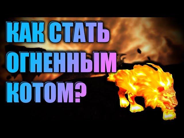 КАК СТАТЬ ОГНЕННЫМ КОТОМ ? 