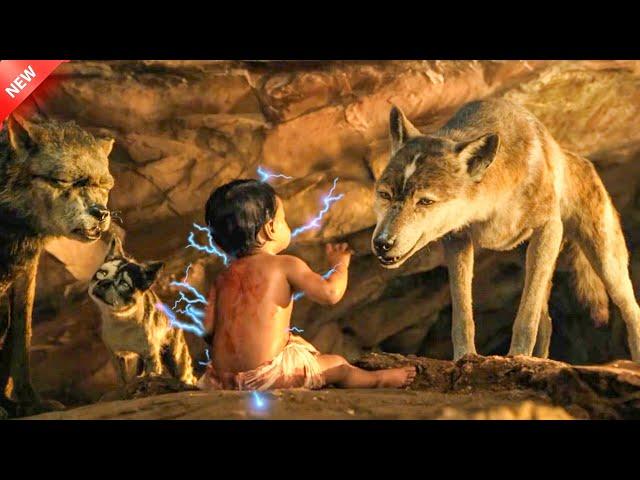 A Human Baby gets Lost in the Forest and is Adopted by a Wolf Family. explained in Hindi