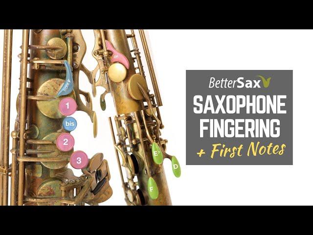 Beginner Saxophone Lesson 4 - Fingering and First Notes