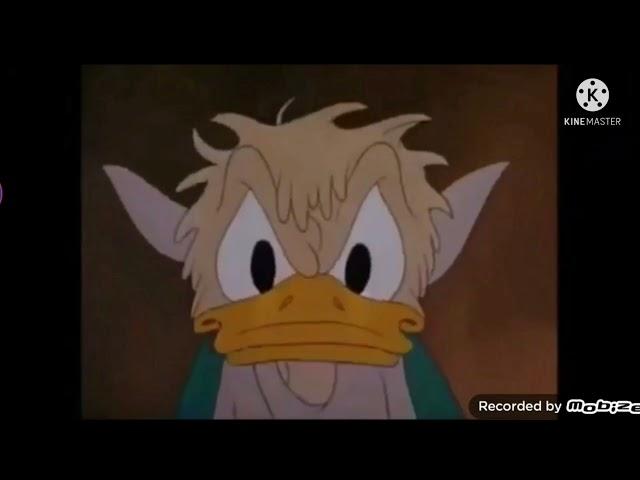 Donald Duck tells Sunset Video to Shut Up