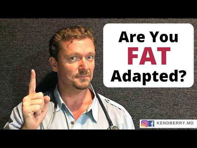 Are You Fat Adapted? [7 Ways to Know...] 2024