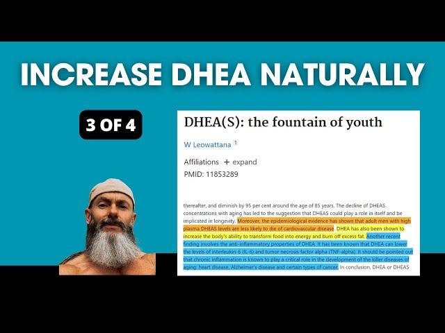 How To Increase DHEA Naturally (Part 3)