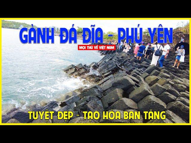 Gành Đá Đĩa Phú Yên | Tôn tạo của thiên nhiên đẹp tuyệt vời | Phú Yên ngày nay