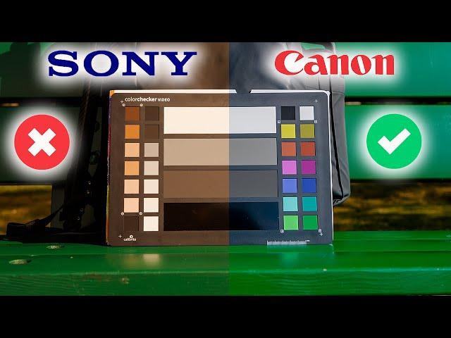 How to Get Canon Colors from your Sony Camera (HINT: It's Super Easy!!)