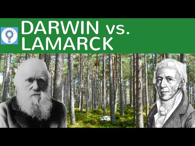 Darwin vs. Lamarck - Evolutionstheorie von Lamarck und Darwin im Vergleich | Evolution 8