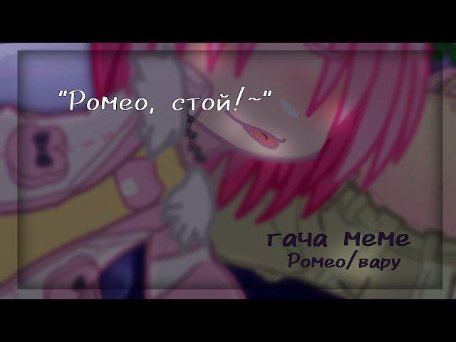 — "Ромео, стой!~" ⟨ 13 карт, Ромео/Вару ⟩ гача меме(?) ⟩ ‹18+!› ГАЧА СРАЧА #гача простите. ОПИСАНИЕ