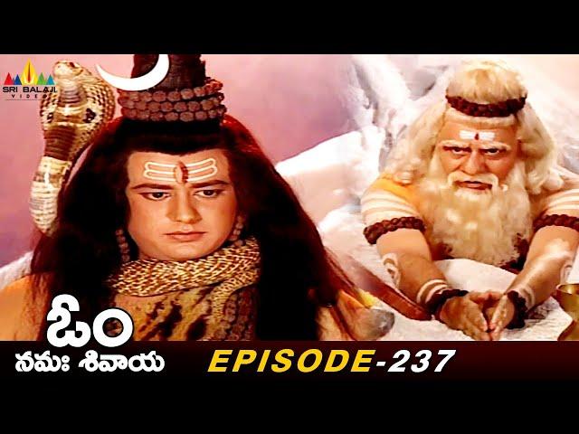 పరమశివుడి శరణు వేడుకున్న శుక్రాచార్య | Episode 237 | Om Namah Shivaya Telugu Serial