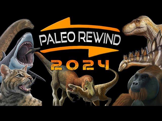 The Brand New Tyrannosaurus and Megalodon!- PaleoRewind 2024: January