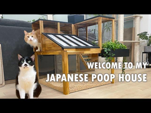 I made the best litter box ever for my cats