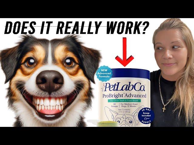 (HONEST REVIEW) PetLab ProBright Advanced/Dental Powder For Dogs! Does It Really Work?