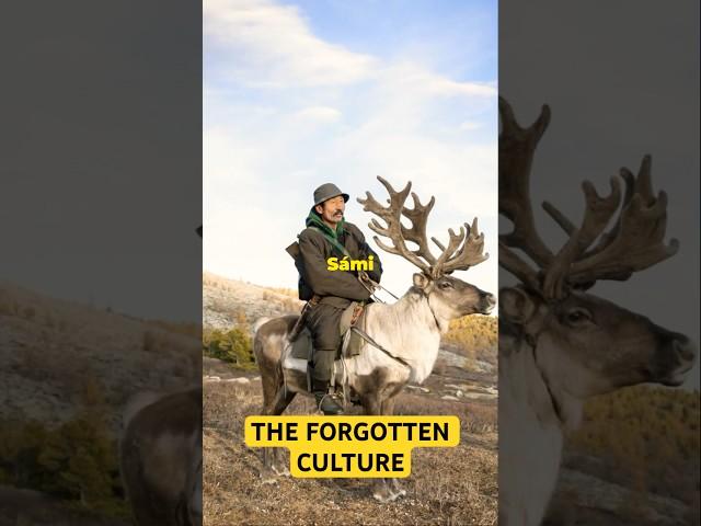 The Forgotten Sámi: Resilient Arctic Guardians Fighting for Survival!