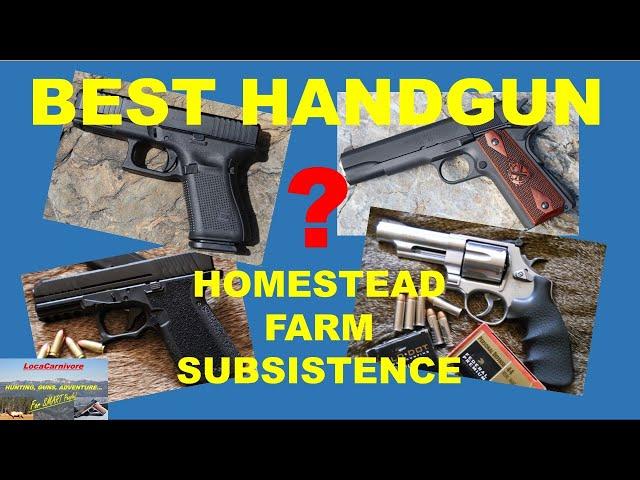 BEST HANDGUN for Homestead/Farm/Subsistence!