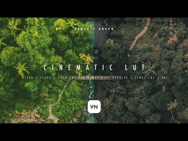 CINEMATIC LUT/FILTER FOR VN EDITOR | LUT for AE, PP, VN Video Editor | Download Free