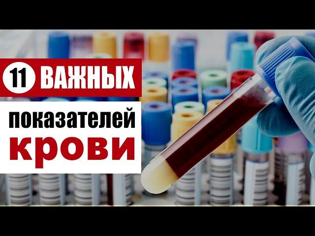 11 основных показателей в анализе крови, которые укажут на то, что вы нездоровы