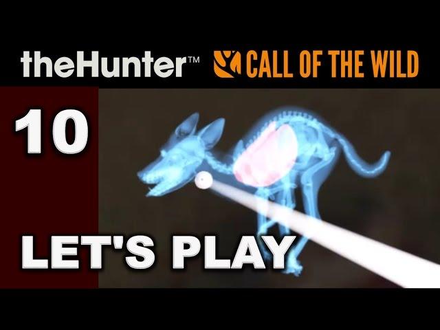 CALL OF THE WILD Hunting Game - Ep. 10 - Hunting Cheelah Area