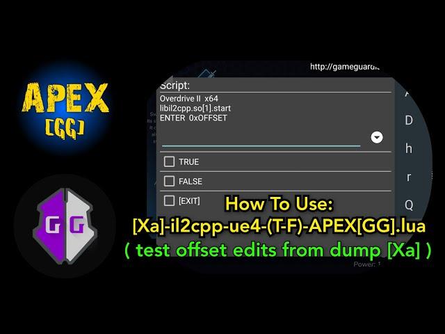 How to use my dump offset edit test script