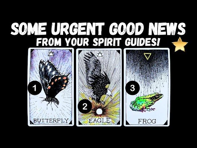 Some Urgent Good NEWS From Your Spirit Guides! ⭐️⎮pick a card 🃏