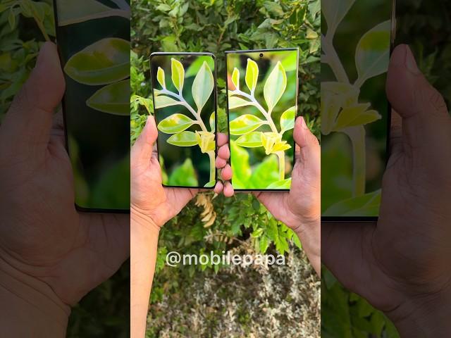 Realme 12 pro plus vs Samsung S23 ultra Camera Comparison  #shorts #realme12proplus #s23ultra