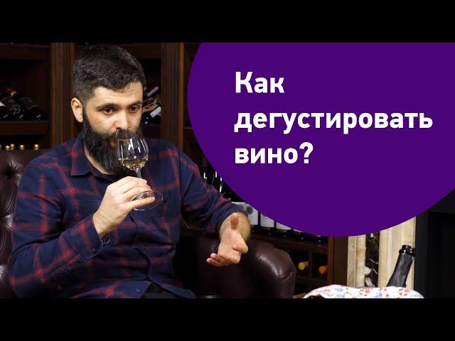 Как дегустировать вино: мастер-класс сомелье