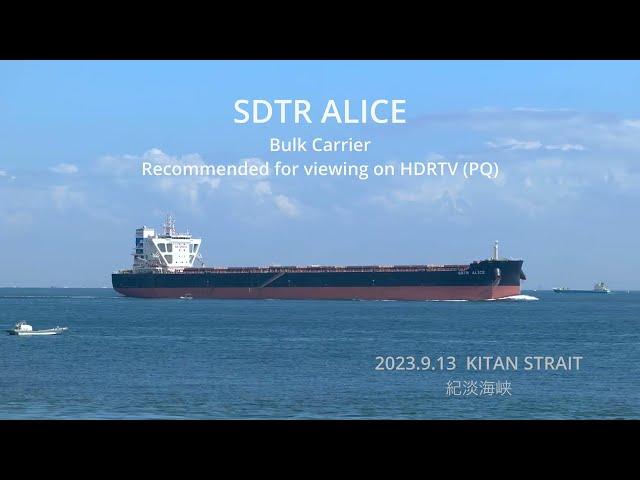 (HDR)  SDTR ALICE  Bulk Carrier   ばら積船  紀淡海峡  2023.9.13