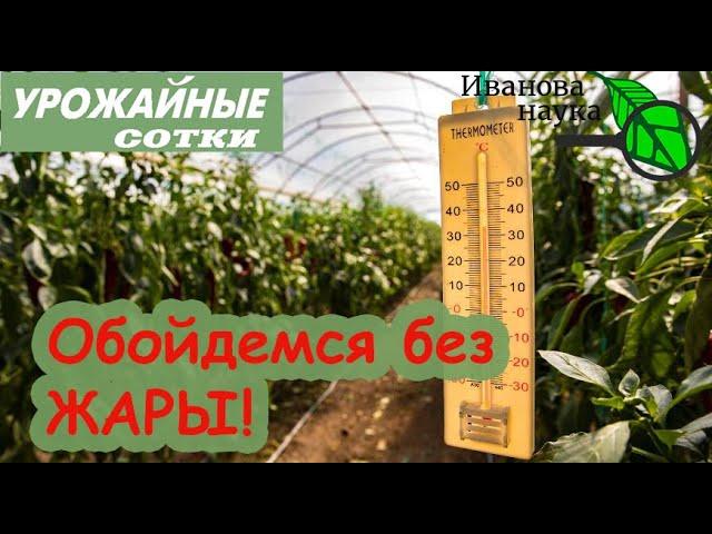 ЖАРА! 5 СПОСОБОВ уберечь растения от жары!