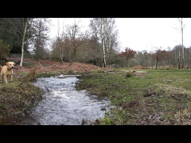 The effects of a slow shutter speed when filming