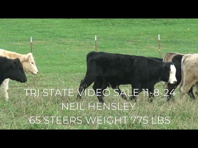 TRI STATE VIDEO SALE 11-8-24