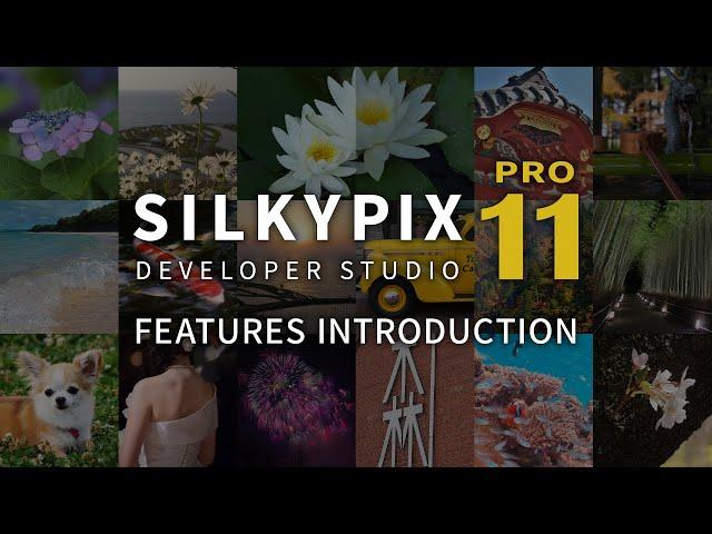 "SILKYPIX Developer Studio Pro11" promotion movie - FEATURES INTRODUCTION