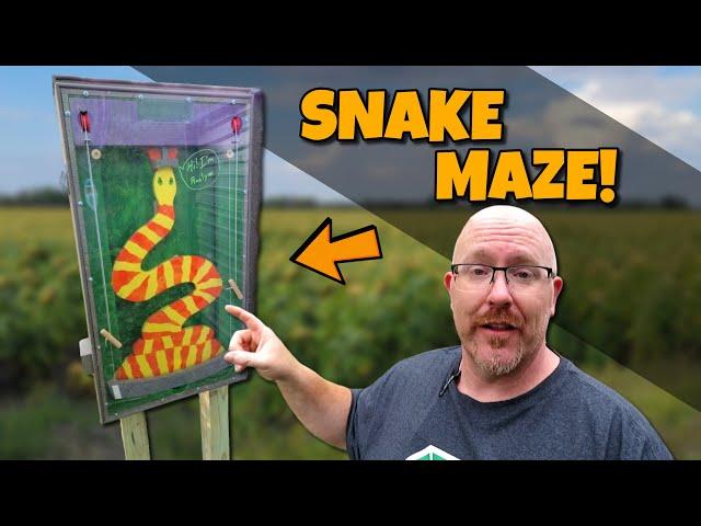 AMAZING Snake Maze Gadget Geocache!