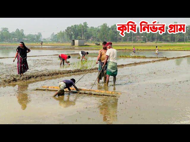 বংশাই নদীর তীরে কৃষি নির্ভর বড় বাশালিয়া গ্রাম || Panorama Documentary