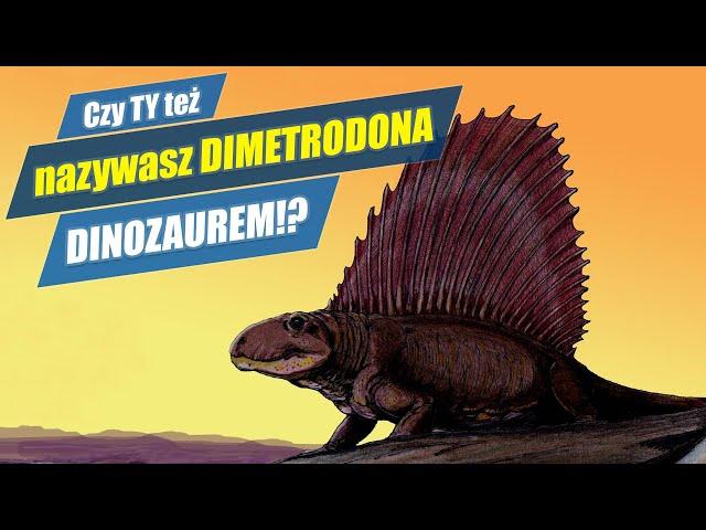 DIMETRODON - krewniak ssaków mylony z DINOZAUREM!