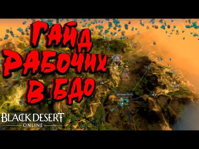 Black Desert - ГАЙД РАБОЧИИ БДО АФК ЗАРАБОТОК