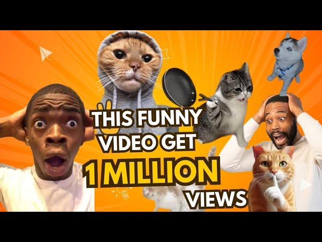 Funniest cat Video: Hits 1Million Views Overnight!"Tui tui best funny video#1million #video #funny