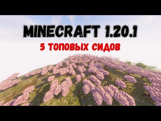 5 лучших сидов для новейшей версии Minecraft Java 1.20.1!