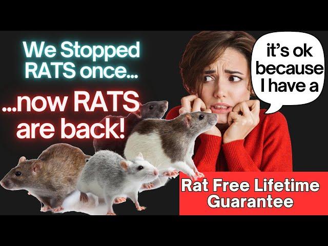 RATS KEEP RETURNING - so do the PEST INTERCEPTORS - Rat Free Lifetime Guarantee