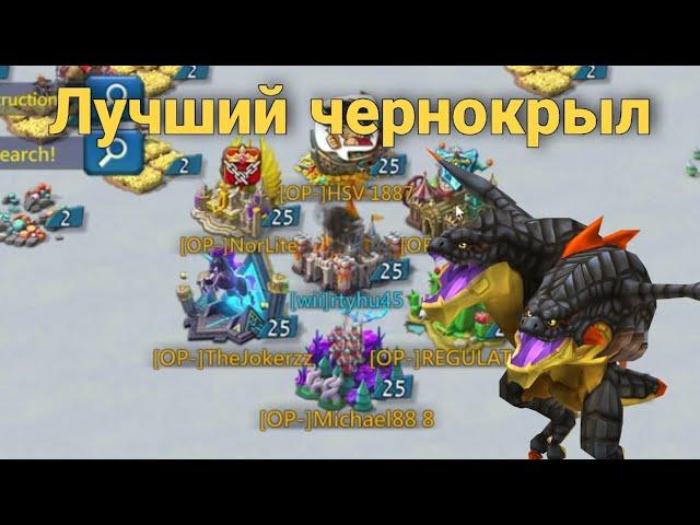 Lords Mobile - Ловушка ВСЕ отбивает. Почти) Чернокрыл тоже в деле