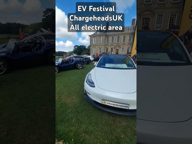 Chargeheads at EV festival spicing things up with Modified EV's & Conversions