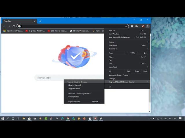 Download CCleaner Browser for Windows 10 (Quick Look) Officially