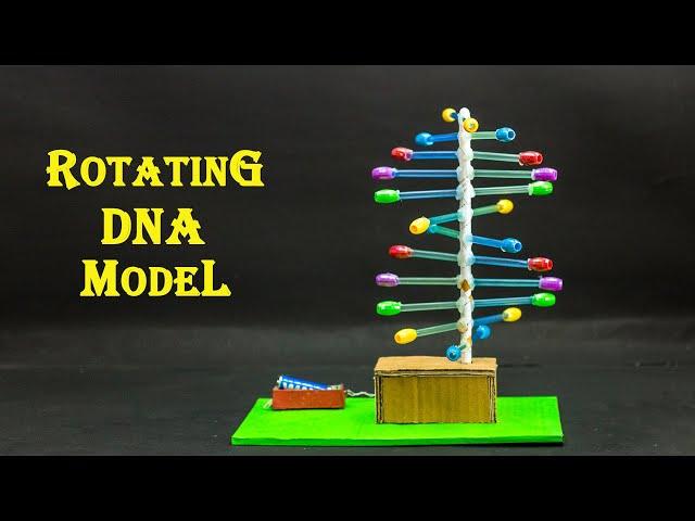 School Science Projects | Rotating DNA Model