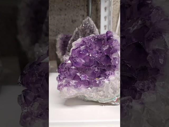 Amethyst || Crystals & Jewelry Emporium | #shorts | Pacific Beach