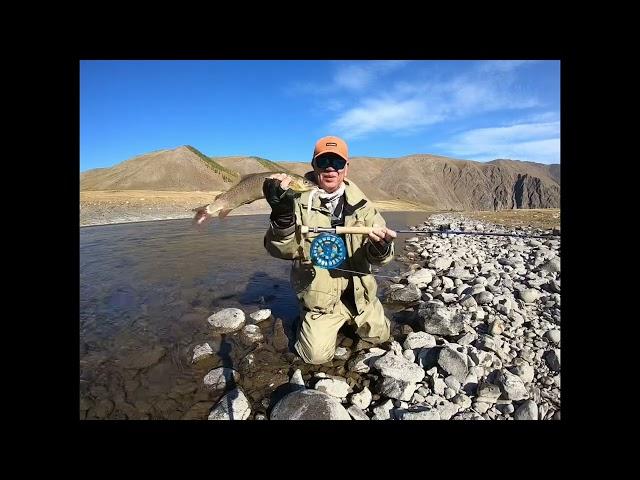 Enigmatic Lenok Trout, Delger, Mongolia