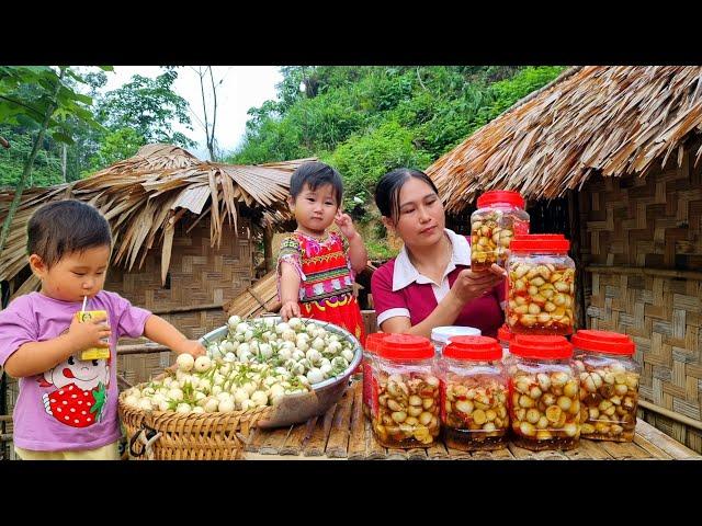 How to make simple sweet and sour pickled eggplant to sell at the market