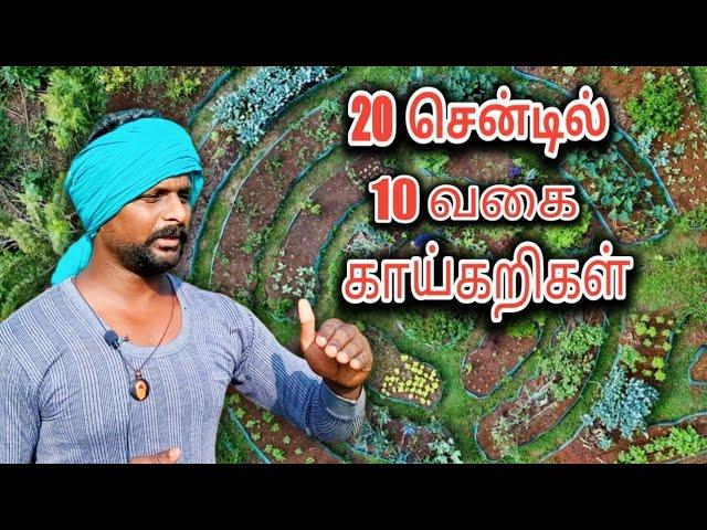 நிரந்தர வேளாண்மை | Permaculture | 20 சென்டில் 10 வகையான காய்கறிகள் | Permaculture Tamil