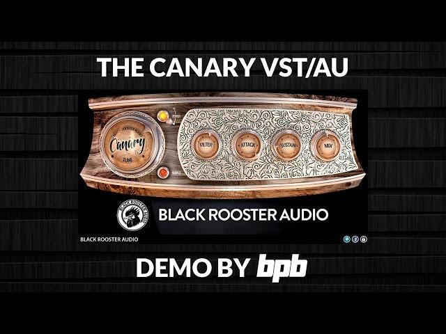 The Canary FREE Transient Shaper VST Plugin DEMO