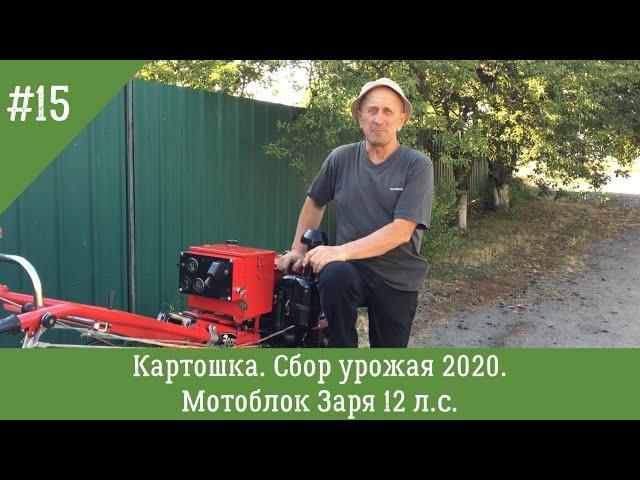 Картошка | Сбор урожая 2020 | Мотоблок Заря 12 л.с.