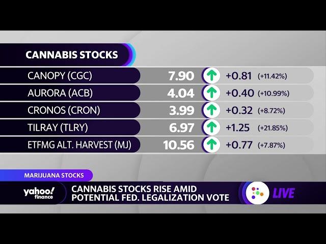 Cannabis stocks rise amid potential federal legalization vote