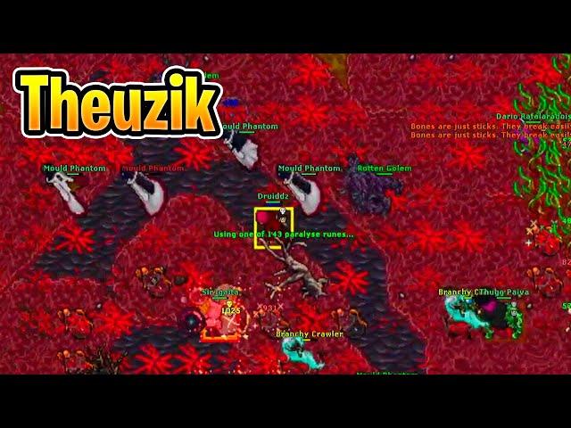 Theuzik trapa Royal Paladin 1338 - Tibia #GameLab