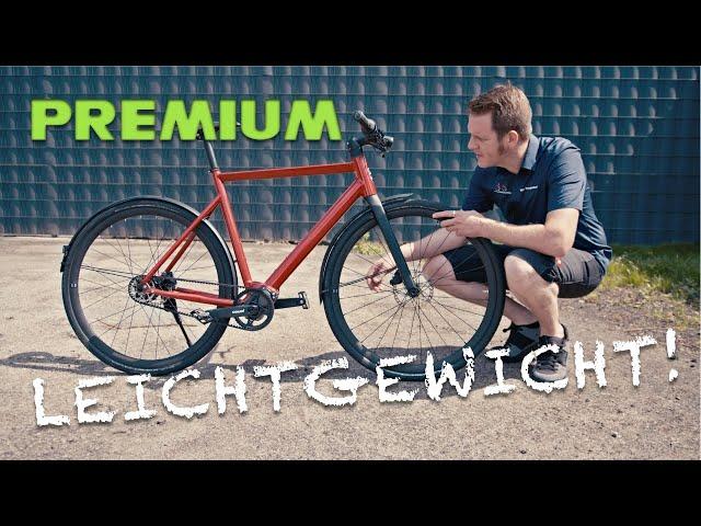 E-Leichtgewicht Desiknio X20 Pinion Gates Light-Ebike